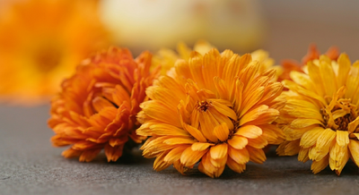 Marigold Flowers