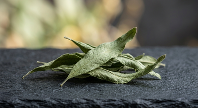 Moroccan Lemon Verbena