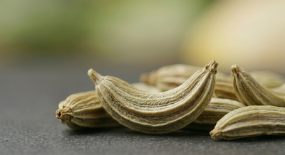 Fennel