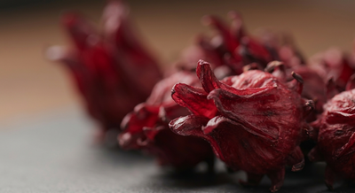 Egyptian Hibiscus