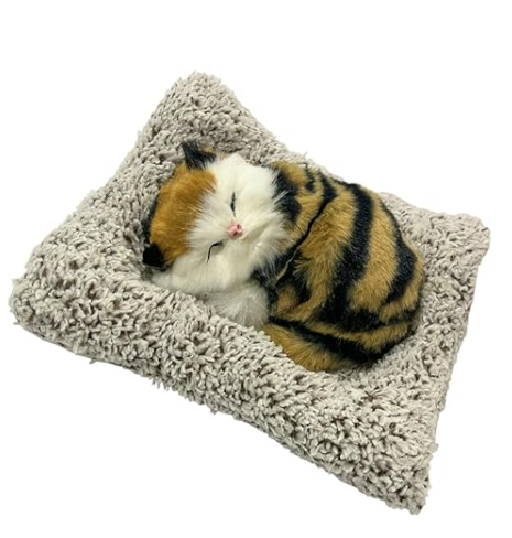 Cat sleeping on a fluffy cushion with a white background