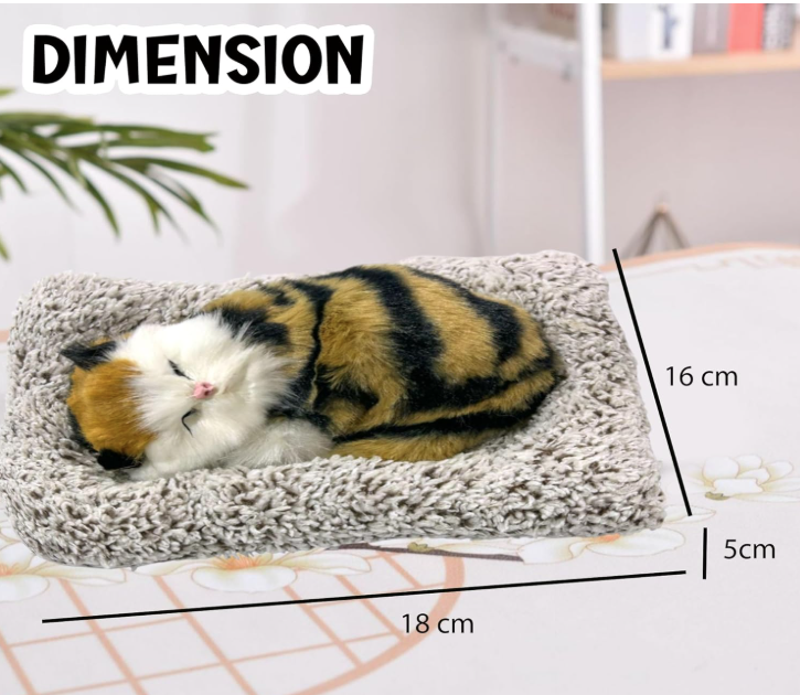 Cat lying on a cushion with dimensions labeled