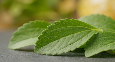 Stevia Leaves