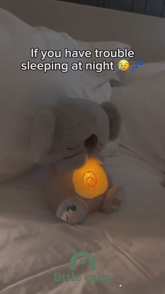 Breathing Otter teddy video